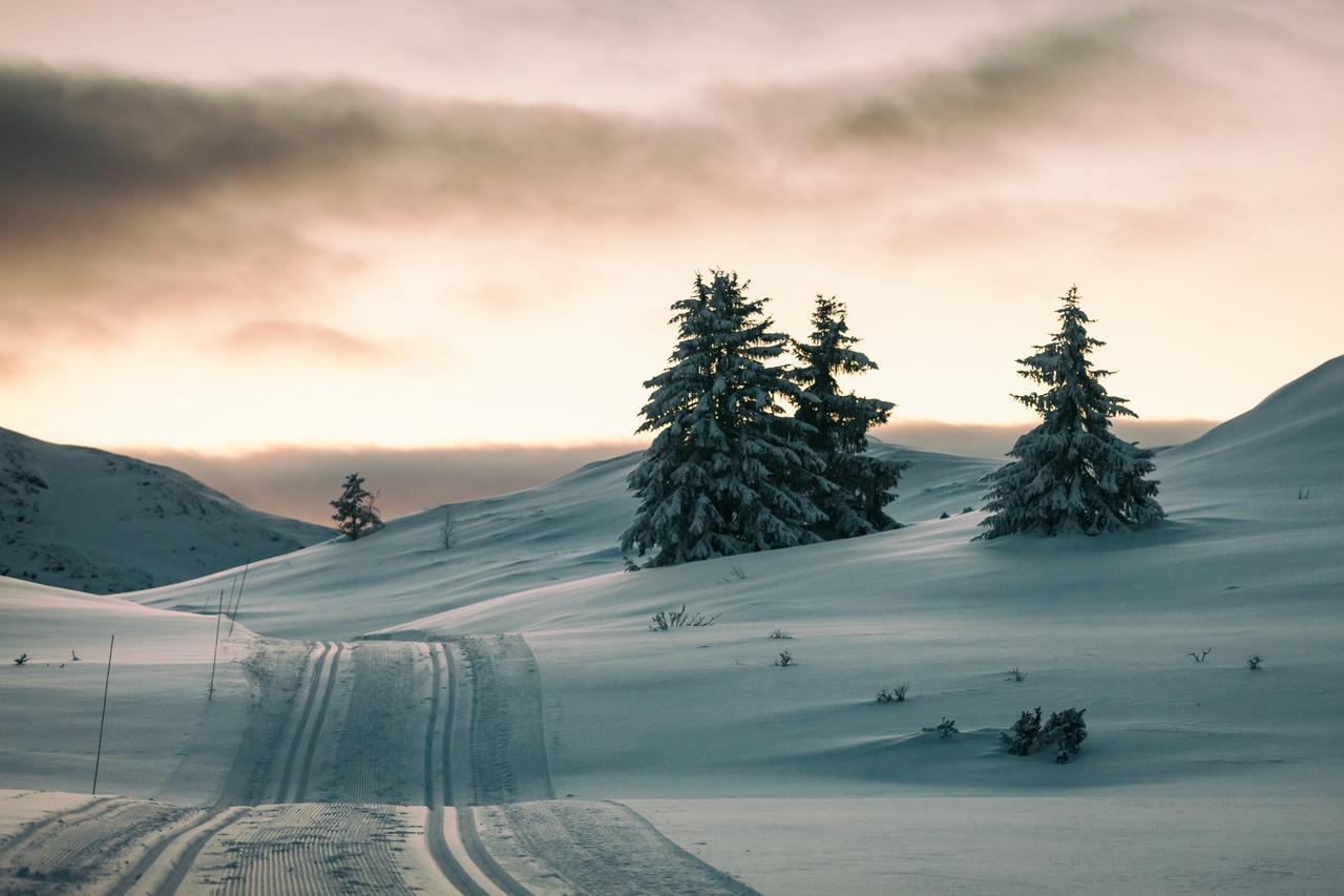 Rondane Hytter Og Leiligheter Otta Exterior foto